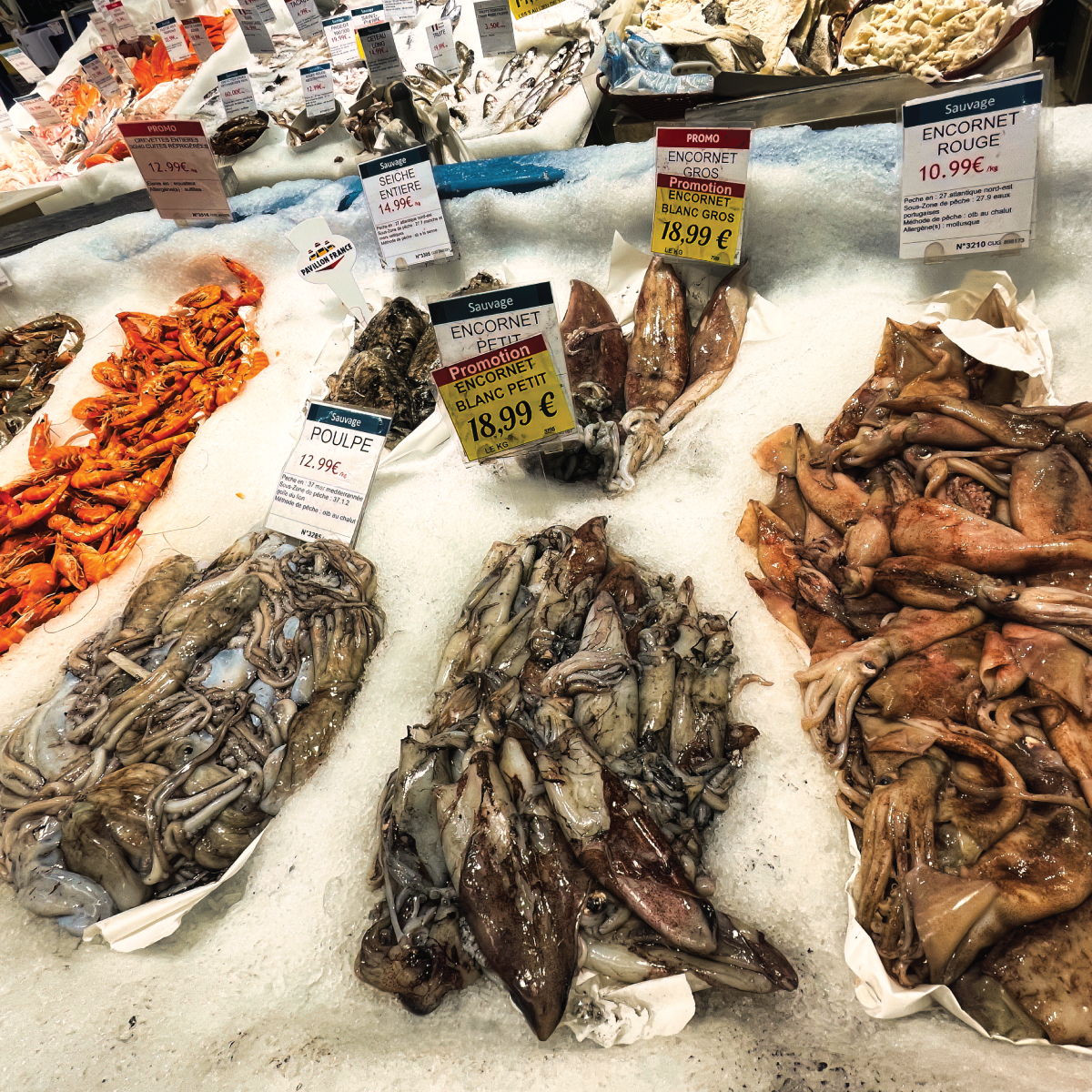 Ιχθυόσκαλες---Ψαραγορές