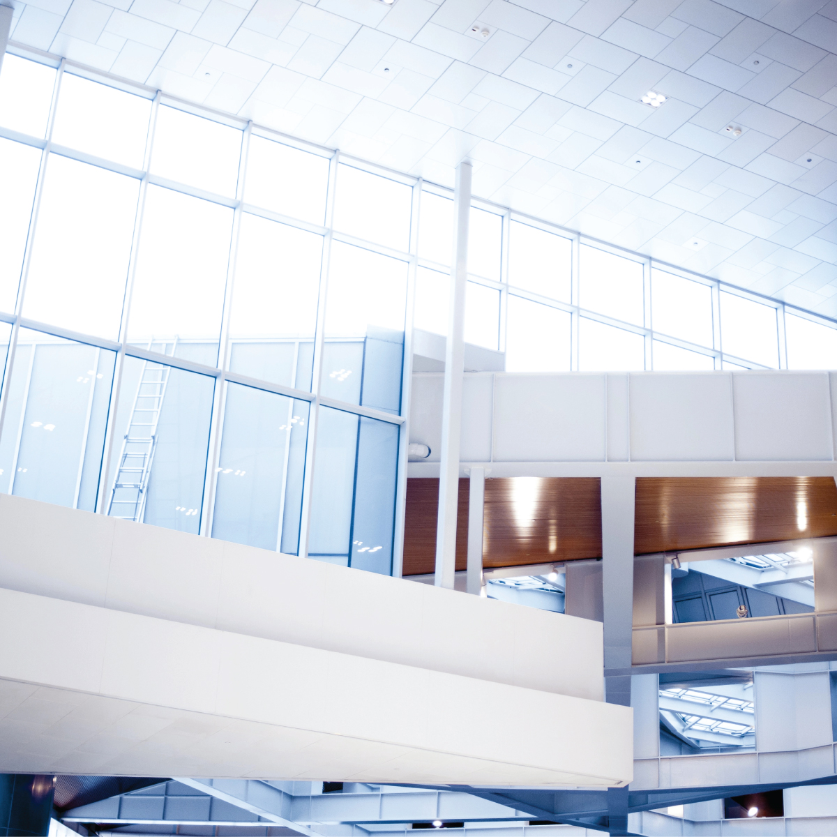 Οργανισμοί